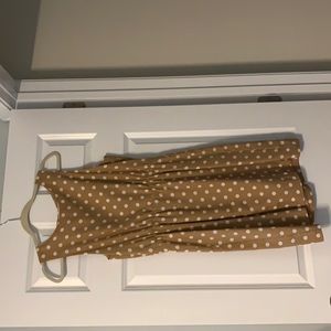 J Crew beige and white polka dot dress